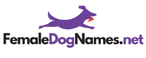 Female dog names