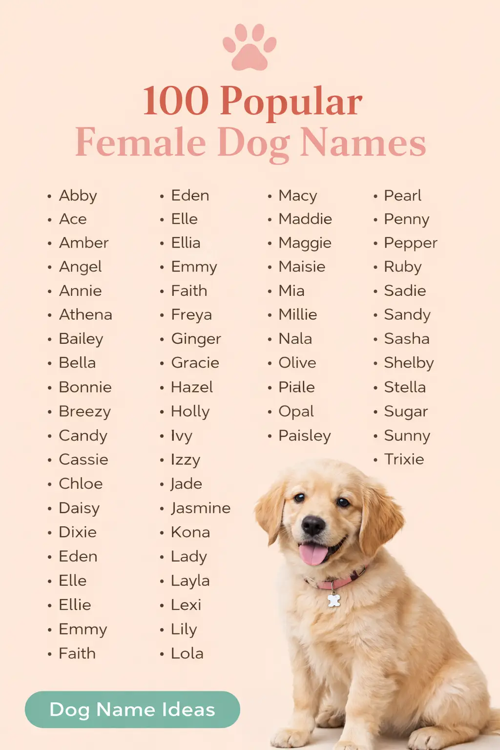 100 Popular Girl Dog Names
