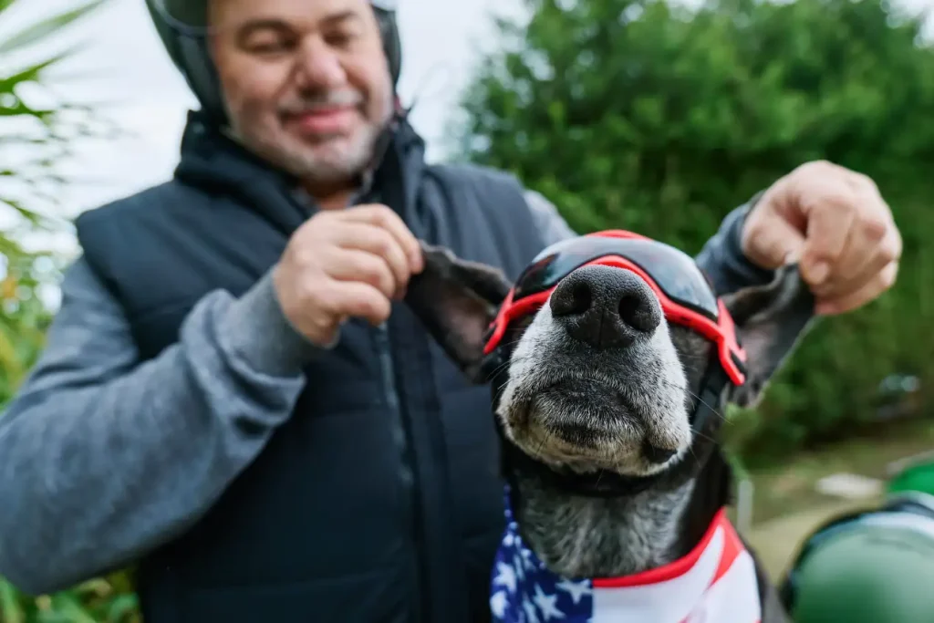 Unusual Girl Dog Names That Stand Out 2 unusual female dog names